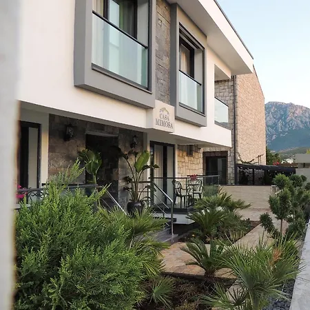 Отель Casa Mimosa