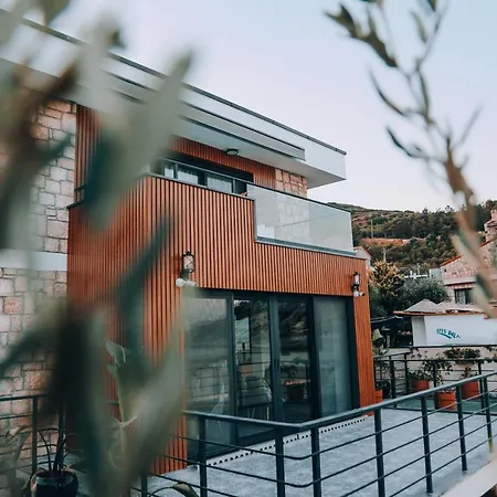 Hotel Casa Mimosa 5*