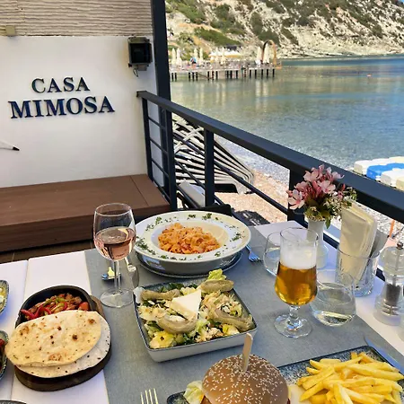 Hotel Casa Mimosa