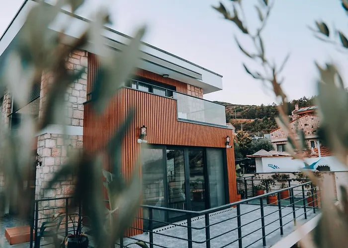 Hotel Casa Mimosa 5*