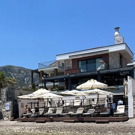 Hotel Casa Mimosa